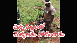 మా తోటలో మామిడి ముక్కలు చిన్న పిల్లలు చేత నాటించాను