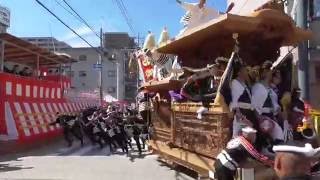 2015岸和田だんじり祭り・旧市地区本宮　北町②小門・貝源やりまわし（平成27年9月20日）