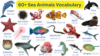 Learn Amazing Sea Animals Names in English