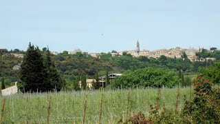 Entre Remoulins et Castillon du Gard