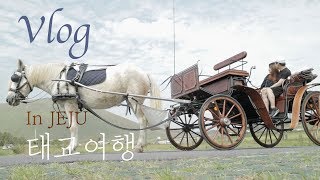 Vlog #11 임신일기 :: In JEJU 태교여행 가다!!