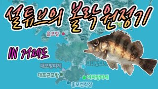 볼락원정대! 볼락찾아 방파제삼만리~