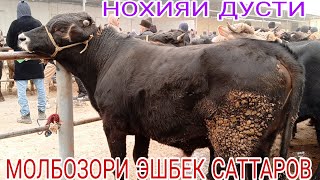 МОЛБОЗОРИ ЭШБЕК САТТАРОВ Н ДУСТИ 15.12.2024.г