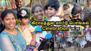 கிராமத்துல மாட்டுப் பொங்கல் Celebration 🐄🌾🥳 | Pongal Celebration Vlog | Sangeetha Vinoth