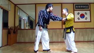 Techniques Master Maeyeol Kim. The Korea Hapkido Federation