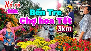 725. Tết 2025 - Kỷ lục Chợ hoa Tết dài nhất miền Tây ở Bến Tre với hàng ngàn loài hoa đẹp giá rẻ