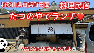 和歌山県白浜町日置　料理民宿たつのやでランチ❤️WAKAPANチャンネル🐼