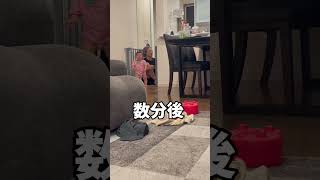 ウキウキにいつもお風呂上がるけど、パパのパック姿が怖い娘😱 #赤ちゃん #赤ちゃんのいる生活