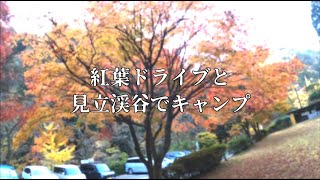 【宮崎】紅葉の見立渓谷で無料キャンプ、水無平のナイトラプスが凄い