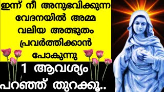 നിന്റെ കണ്ണീർ തുടക്കാൻ അമ്മ ഇതാ വരുന്നു/Mother mary prayer/Kripasanam mathavu/Kreupasanam/Jesus pray