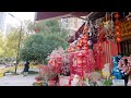 street walk shanghai huangjincheng avenue 상해 황금성도 산책 上海黄金城道漫步 4k