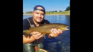 Fly Fishing for Trout / Риболов на пъстърва с мухарка