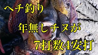 ヘチ釣り年無しチヌが7打数4安打・・・【黒鯛　落とし込み】