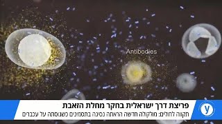 פריצת דרך ישראלית בחקר מחלת הזאבת: ריאיון באולפן עם פרופ ורדה שושן ברמץ