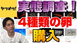 【ヤフオクの闇】メダカの卵を4種類落札したが1個目からまさかの展開…