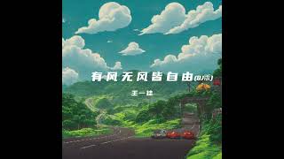 有风无风皆自由 (Dj越南鼓伴奏)