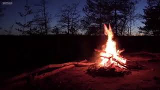 Relaxing Music & Campfire • Relaxing Guitar Music, Soothing Music, Calm Music