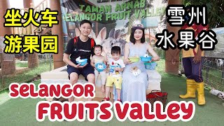 【雪州水果谷】Selangor Fruits Valley 坐火车游果园+ 零距离跟小动物互动【鹿、兔子、鸭子、鸡、鹅】入门票便宜【四岁以下免费🆓】Rawang