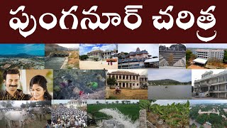 పుంగనూర్ చరిత్ర | History of Punganur | In Telugu by Parashuramtalks.