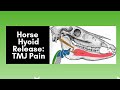 Horse Hyoid Release: TMJ Pain (2020)