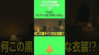 【TotK】（73）ゼルダの伝説グダグダぶらり旅【ティアキン】