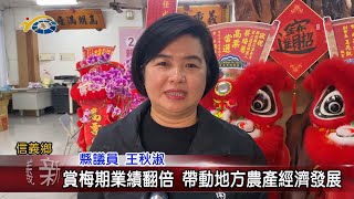 20240109 南投縣議會 民議新聞 賞梅期業績翻倍 帶動地方農產經濟發展(縣議員 王秋淑)