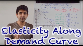 Y1 42) Elasticity Along The Demand Curve