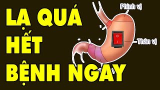 LẠ QUÁ Phương Pháp Chữa Dạ Dày - Trào Ngược Dạ Dày Hết Bệnh Sau 1 Đêm  | HYT3