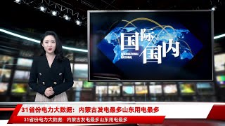 31省份电力大数据：内蒙古发电最多山东用电最多