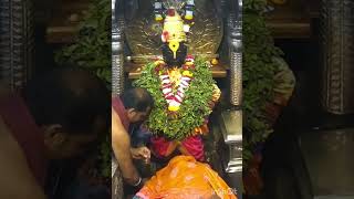 Vitthal Daily darshan 23/1/25 #short#video#today# darshan