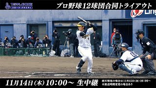 【フジテレビONE】プロ野球12球団合同トライアウト