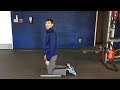 quadruped hip extension