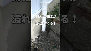 もう雨が降っても大丈夫！雨水桝を設置して雨樋の水を地中に浸透させるDIY（本編は概要欄から）