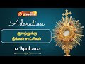 🔴 LIVE 12 April 2024 Adoration 11:00 AM | Madha TV