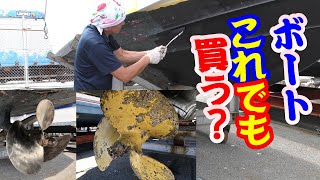 マイボート購入予定の方必見！大型台風で上架したついでに！【ボートメンテナンス】真夏の船底塗装！