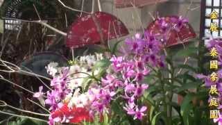 2010.台北國際花卉博覽會-美術公園-世界環宇.mpg