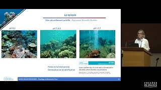 Le cycle du carbone dans l'océan (7) - Edouard Bard (2020-2021)