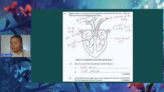 Zero to Hero | Biology Revision 2024 (part 1) with Miss Akili from The Student Hub