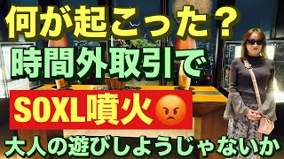 時間外取引でSOXL噴火😡2024/12/13（金）大人の遊びしょうじゃないか!現物米株取引は大人の嗜みです😇