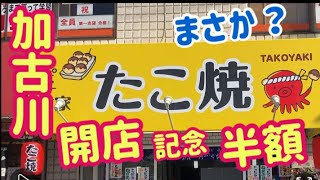 【たこ焼ぽて家】新店舗オープン記念セールで半額[Takoyaki Poteya] Half at new store opening commemorative sale Kakogawa Japan