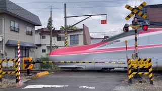 【秋田県】秋田新幹線🚄男坂踏切