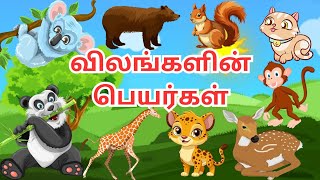 வீட்டு விலங்குகள் மற்றும் வனவிலங்குகள் தமிழ் பெயர்கள்||animals name in Tamil for kids #pets #animals