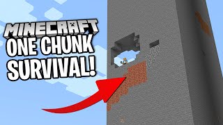 This MINECRAFT ONE CHUNK SURVIVAL Is WILD!