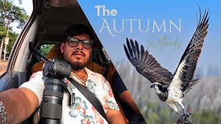 The Autumn Wetlands | The King of Chupi Char Bird Sanctuary | The Osprey | Bird Photography Vlog |