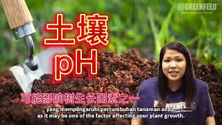 Greenfeed Vlog 55 土壤pH和它如何影响榴莲树营养生长 pH tanah dan bagaimana ia mempengaruhi pertumbuhan pokok durian