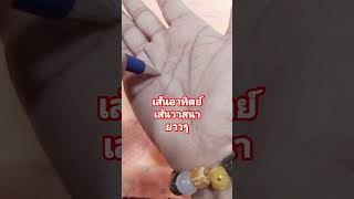 ดูลายมือ #เส้นอาทิตย์ยาว #เส้นวาสนายาว #เปนคนโชคดี #ดวงลายมือ #shortvideo #thailand