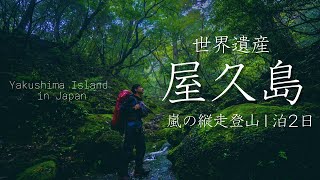 【世界遺産屋久島縦走】宮之浦岳・縄文杉を目指し親子で縦走（淀川登山口〜荒川登山口）World Heritage/Yakushima Island in Japan.