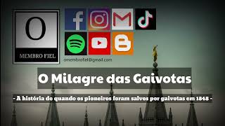 186 O Membro Pod - Milagre das Gaivotas