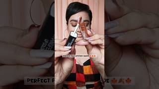 Perfect Fall Lipstick Shade | Best Affordable Lipstick Shade for winters | #youtubeshorts #shorts