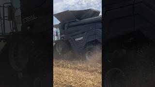 FENDT IDEAL 8T HARVESTING CORN AT FARM PROGRESS #shorts #harvest24 #fps24 #farming #agcocorp